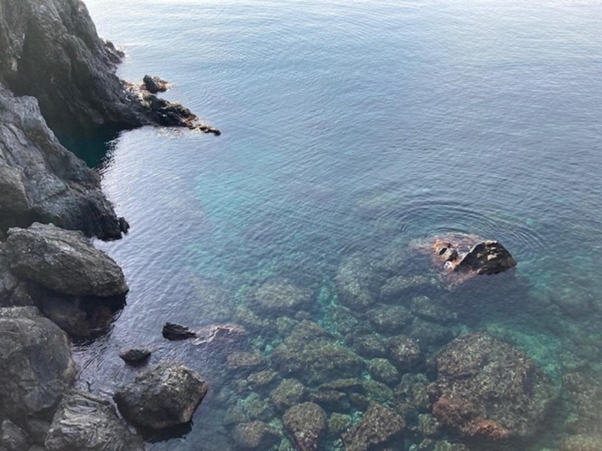 La Gemma Di Monterosso, In Centro Vicino Al Mare Monterosso al Mare Exterior foto